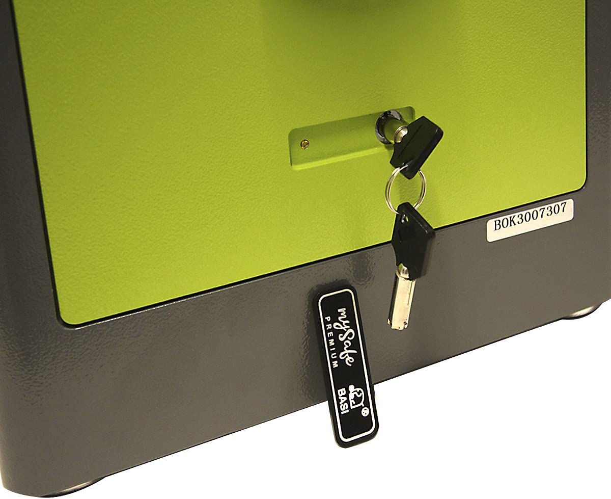 mySafe Premium 350 | elektronischer Schrank-Tresor | Zahlencode & Fingerscan | modernes Design | hohe Sicherheit | Grün/Grau